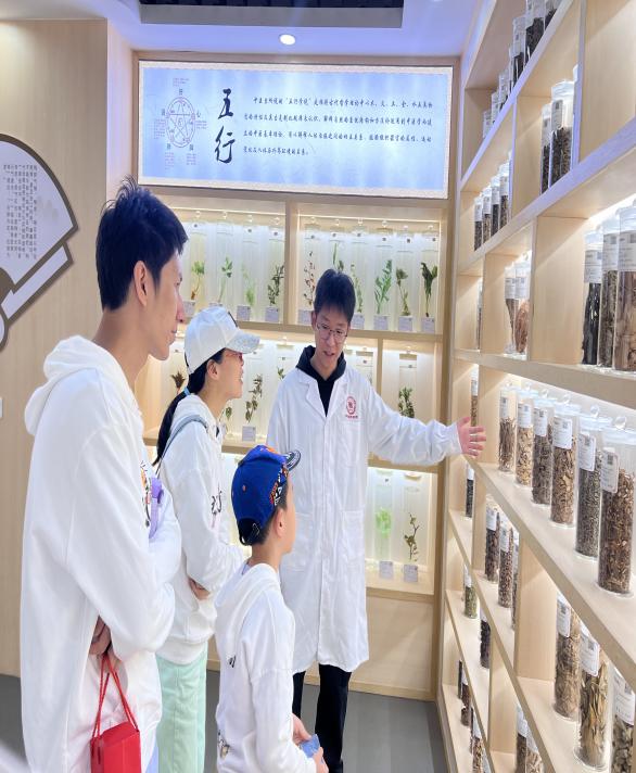 走进中药标本馆，解锁中医药的博...